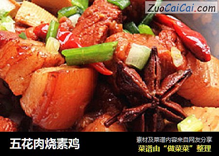 五花肉烧素鸡