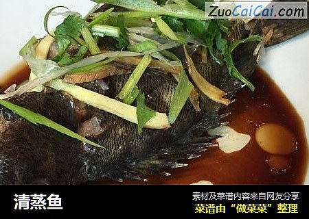 清蒸鱼