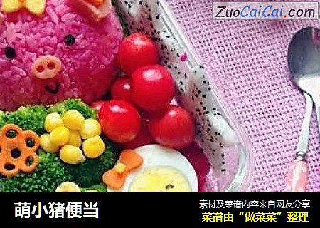 萌小猪便当
