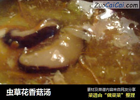 虫草花香菇汤