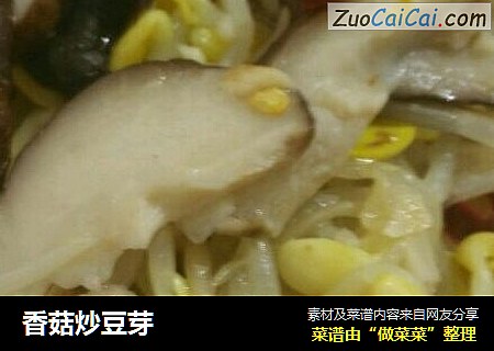 香菇炒豆芽