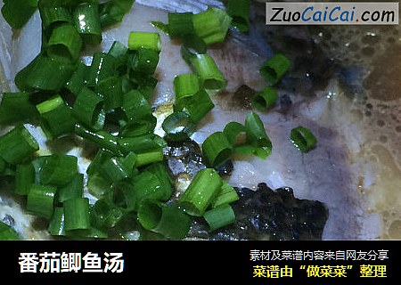 番茄鲫鱼汤