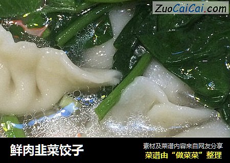 鲜肉韭菜饺子