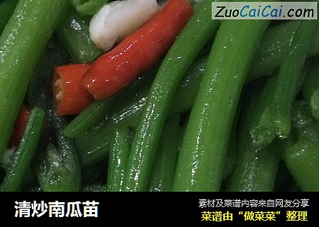 清炒南瓜苗