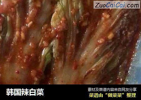 韩国辣白菜