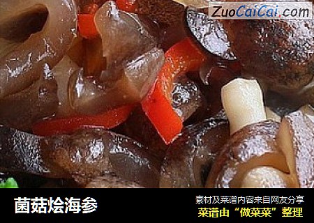 菌菇烩海参