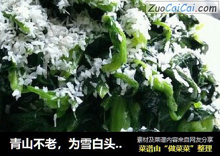 青山不老，为雪白头——椰蓉拌菠菜