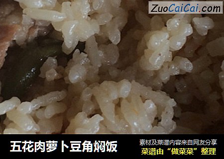 五花肉萝卜豆角焖饭