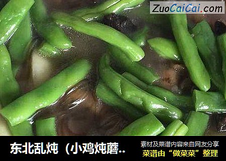 东北乱炖（小鸡炖蘑菇粉条土豆山药）