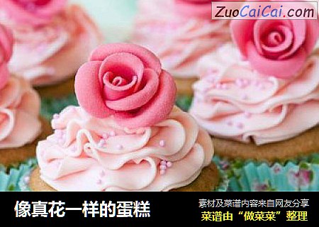 像真花一样的蛋糕