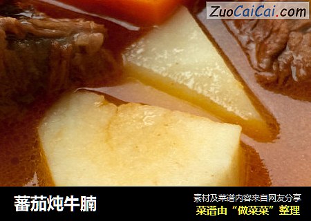 蕃茄炖牛腩