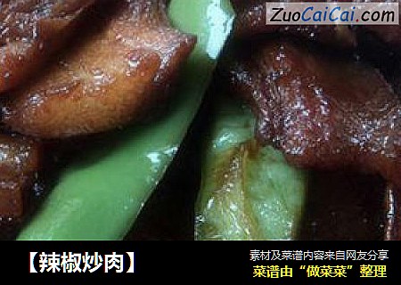 【辣椒炒肉】