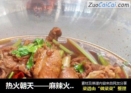 热火朝天——麻辣火锅鸡