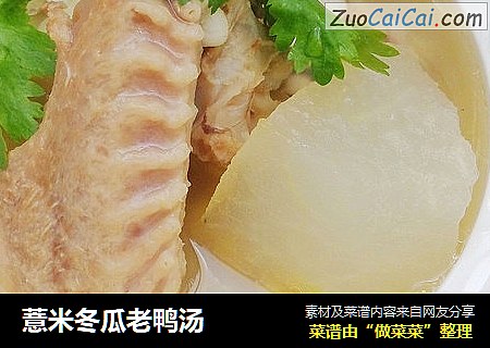 薏米冬瓜老鸭汤