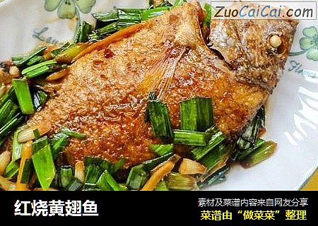 红烧黄翅鱼