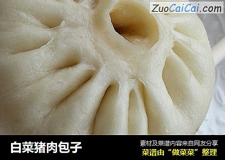 白菜猪肉包子