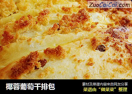 椰蓉葡萄干排包