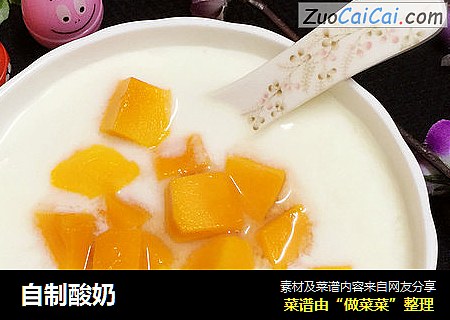 自制酸奶