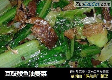 豆豉鲮鱼油麦菜
