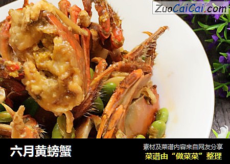 六月黄螃蟹