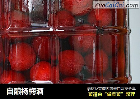 自酿杨梅酒