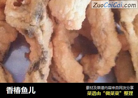 香椿鱼儿