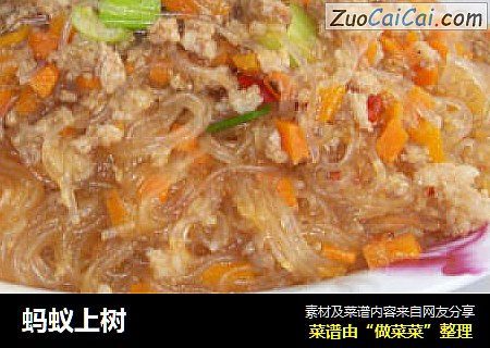蚂蚁上树