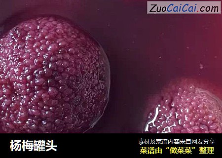 杨梅罐头