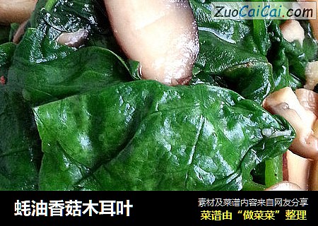 蚝油香菇木耳叶