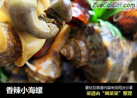 香辣小海螺