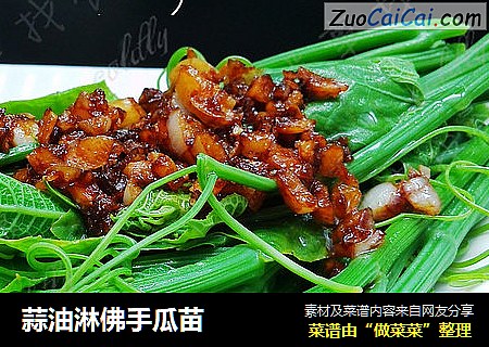 蒜油淋佛手瓜苗