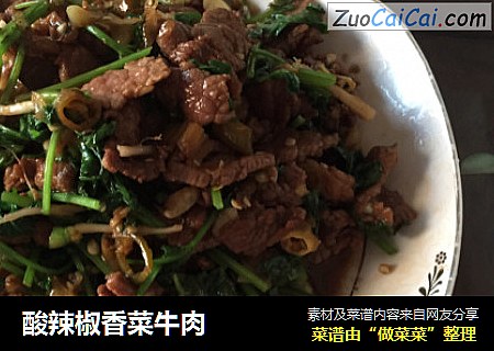 酸辣椒香菜牛肉
