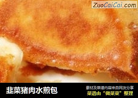 韭菜猪肉水煎包