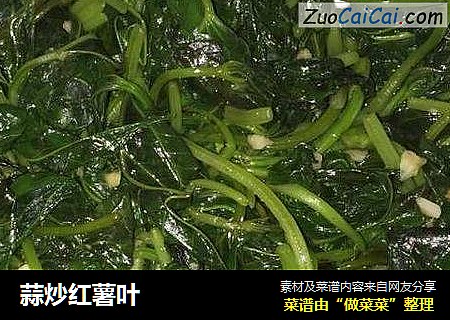 蒜炒红薯叶