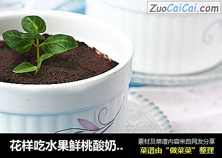 花样吃水果鲜桃酸奶盆栽