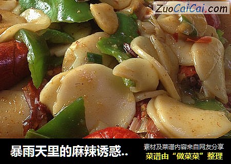 暴雨天里的麻辣诱惑【秘制黄萌十三香小龙虾】
