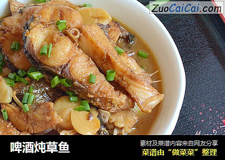啤酒炖草鱼