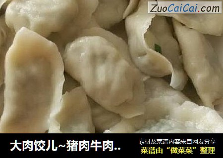 大肉饺儿~猪肉牛肉两掺长豆角大肉饺儿