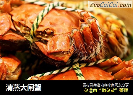 清蒸大闸蟹