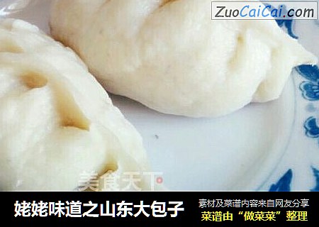 姥姥味道之山东大包子