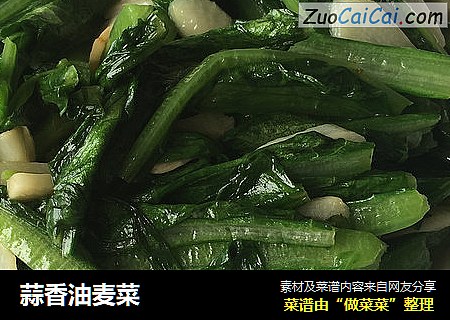 蒜香油麦菜