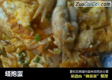 蛏抱蛋