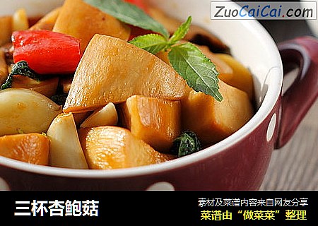 三杯杏鲍菇