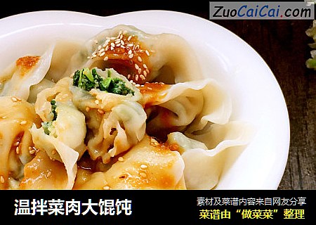 温拌菜肉大馄饨