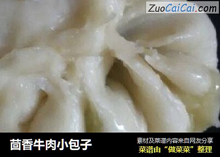 茴香牛肉小包子