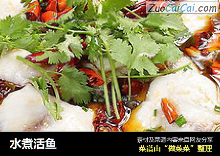 水煮活鱼