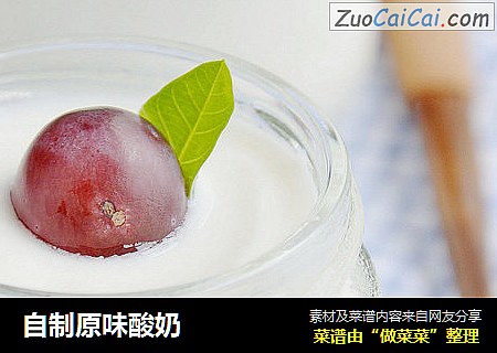 自制原味酸奶