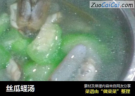 丝瓜蛏汤