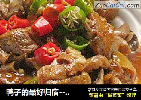 鸭子的最好归宿---仔姜烧鸭子