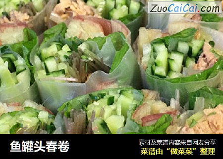 鱼罐头春卷